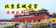 操老逼到高潮视频中国北京-东城古宫旅游风景区